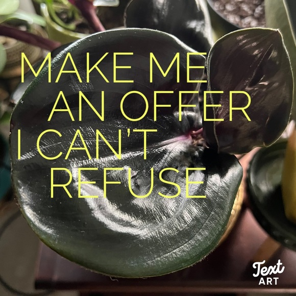 REASONABLE OFFERS👍 - Picture 13 of 13